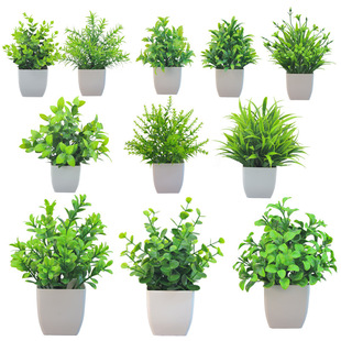 Ư���b�С�������ϻ��ٻ������b�辰�b͏d�ҾӲ廨���Խ�����