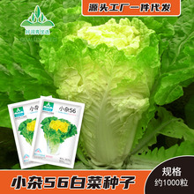 �S�����l����С�s56�ײ˷N�������s���S�Ĵ�ײ˷N���＾�u���S��