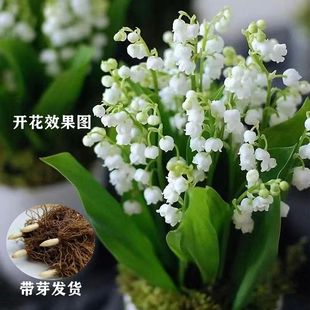 �ļ��_����m���玧ѿ�����ͻ��ܾGֲ�̨�҃Ȼ��ܶ������ͺ�ֲ��