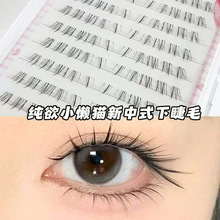 ����е�����½�ë؈ϵ�֮��������Н����pб�w�޽ӂ����