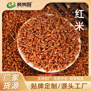 �t��25kg�t����50������s�Z����������׼t���׏S�����l���l