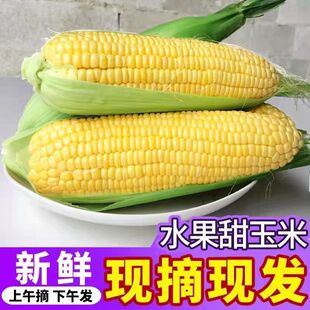 �Fժ���rˮ������10�����rˮ�����������װ�3����𱬝{���S����