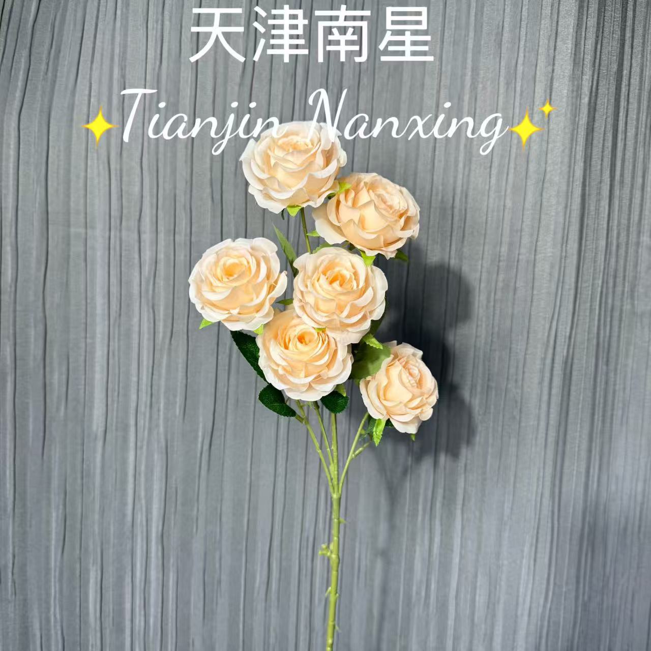 샴페인