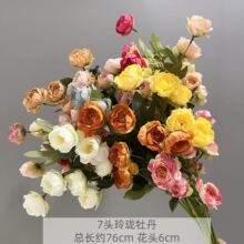 7�^�ᭇĵ�����滨 ��c���Ļ�Y�þƵ겼�üٻ����컨�S�����l