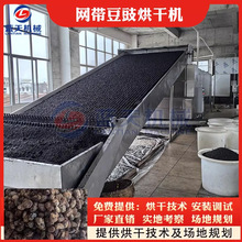 网带豆豉烘干机 咸豆豉淡豆豉水豆豉干豆豉烘干设备 豉豆瓣干燥机
