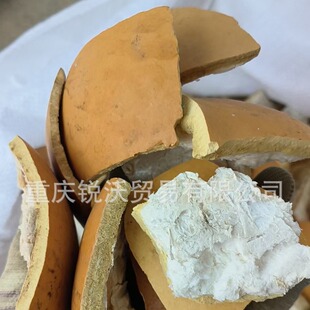 1������ɢ�b���l�Ϻ��J�� ��ư�� ���Jư ꐉرRư