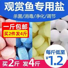 ˮ���}�^�p�~���}�~���}ܛ����ˮ�B�~���}���}Ƭ�~���}����N���l