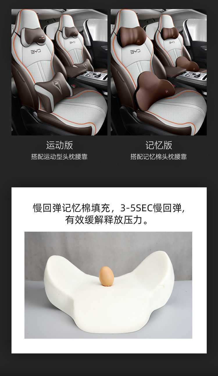 Special Byd Destroyer 05 Seat Cover 2024 Honor Edition 25 Four Seasons All-Inclusive Car Seat Cushion 23 Seat Cover