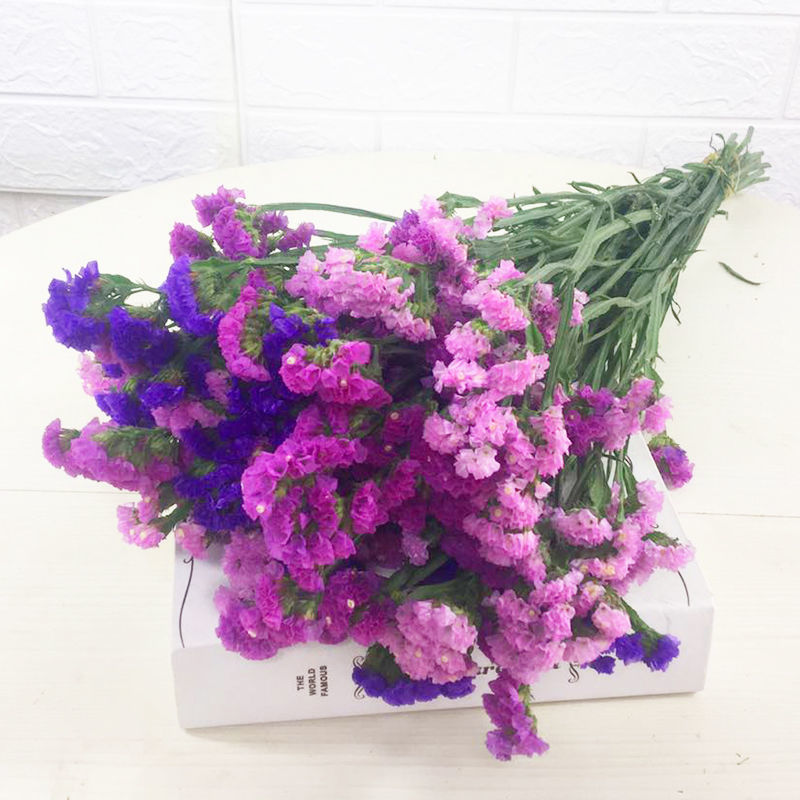 딥 퍼플 로즈 레드 핑크 30개 - 둥근 배꼽 꽃바구니는 포함되어 있지 않습니다.