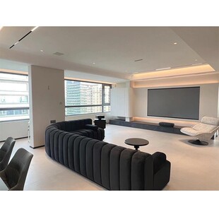 Black Snake-Shaped Sofa Module Clothing Store Internet Celebrity Style Piano Key Leather Art Creative Designer Commercial Curved Sofa