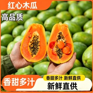 �V���t��ľ����֭ˮ��ľ��������]����ˮ���ЋDˮ��ľ��
