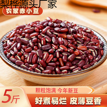 ����L�����r�t���ඹ��޲���װˌ��ඹɳ�W������s�Z��؛