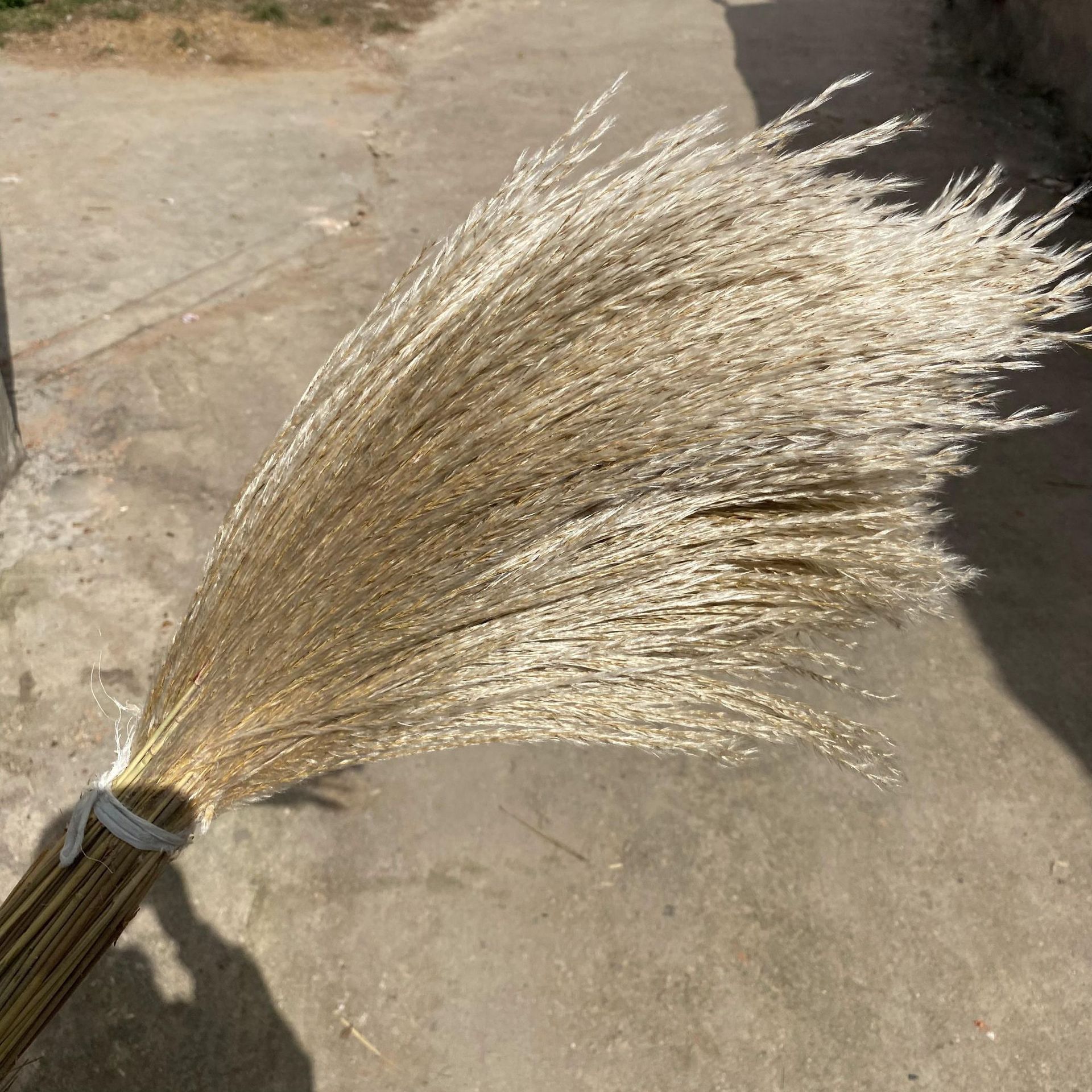 2021_11_01_10_55_IMG_0548