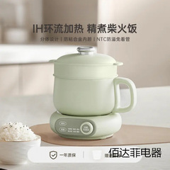 カラフルなジングル電気炊飯器スマートホーム寮多機能小型電気調理器分割小型炊飯器