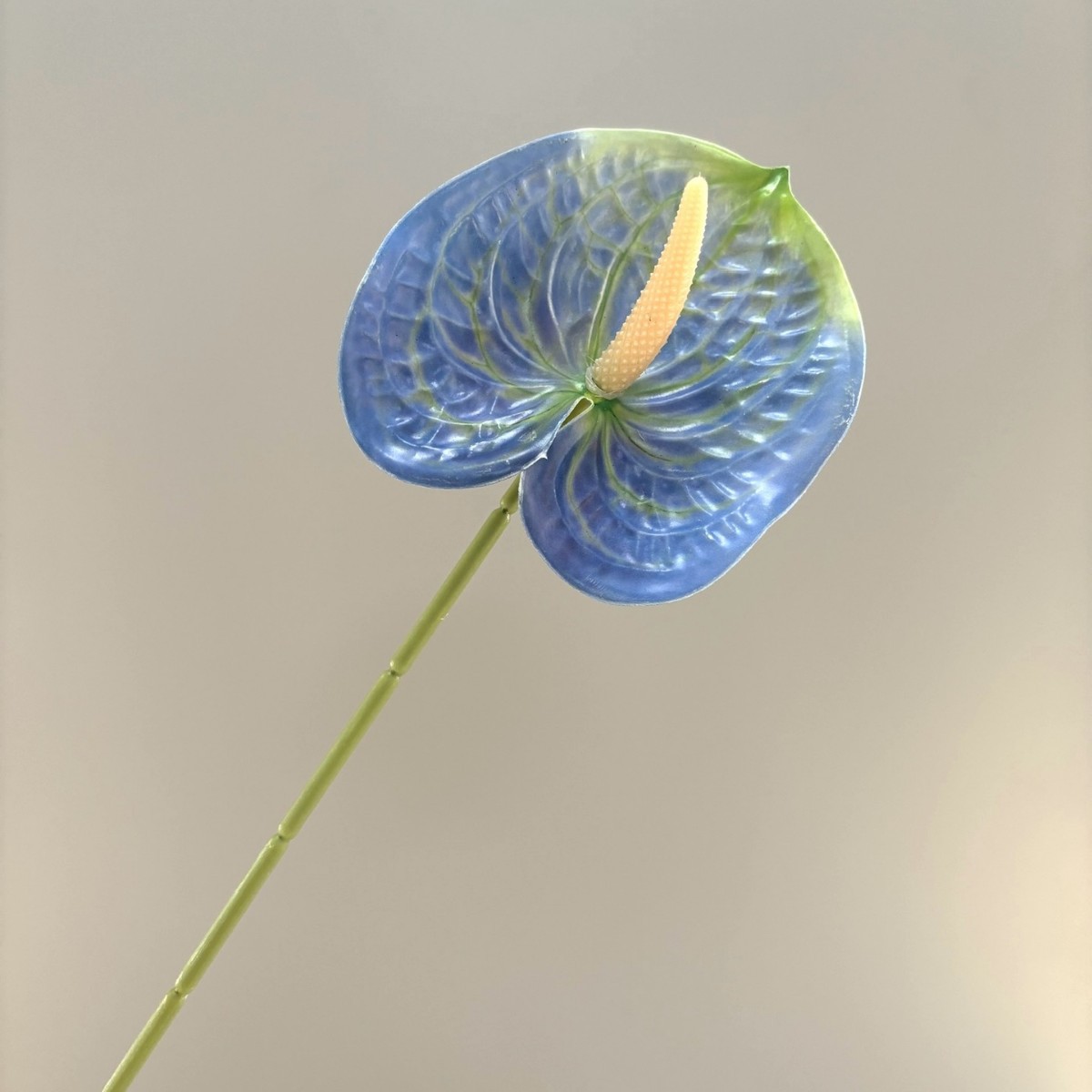 손바닥