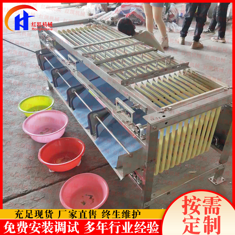 厂家供应核桃分选机 核桃分拣选果机 多功能果蔬轨道式分选机