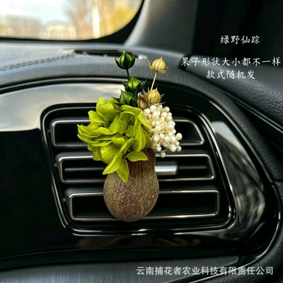 Natural Fruit Plant Dried Flower Car Air Freshener Vent Decoration High-End Diffuser Car Gift Car Interior Fragrance (Car Perfume Aromatherapy) - the-wizard-of-oz-gulu-guo-car-style-free-essential-oil