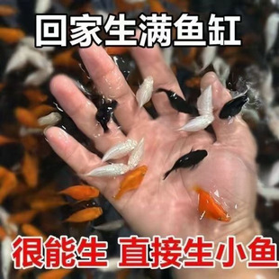 �����������~����̥��ֱ����С�~����ĸ�~����Ƥ���~���B�ͻ�