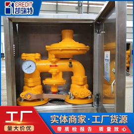 燃气设备;减压阀;过滤器
