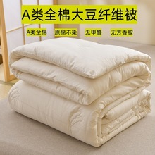 A类全棉大豆纤维被双人被子被芯冬被春秋被棉被秋冬被子夏天薄款