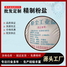 精制工业粉盐厂家批发精制粉末盐价格工业氯化钠粉尘厂家