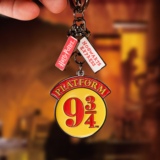 Harry Potter Keychain Hedwig Haige Cake Nine and Three Tenths Birthday Gift Metal Surrounding