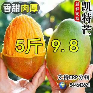 ���r�P��â�F�ڬF�l����ˮ��Ƥ������â����Ƥâ3/5��
