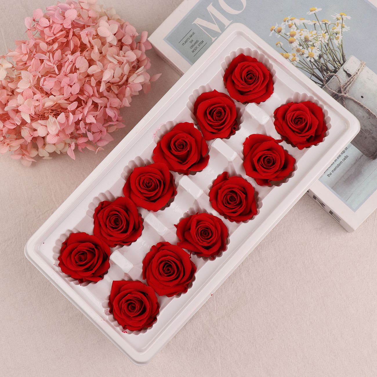 Cabezas de Rosa Eternas A+, 3-4 cm, 12 Piezas, Materiales para Manualidades Florales, Caja de Regalo, Fabricante, Venta al por Mayor