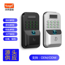 跨境北美热销涂鸦tuya呆锁智能锁房门办公室木门指纹掌静脉密码锁