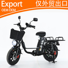16寸48V06V00W电动自行车助力车锂电哈雷油刹出口长续航外卖车