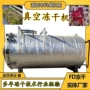 定制真空沙棘果宠物粮冻干机