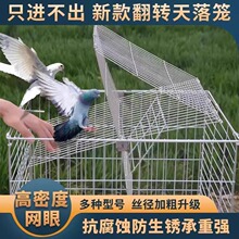 ����\���D���ӻ\��j�Tֻ�M�����B�m�����\���\�Ԅ��T��׽