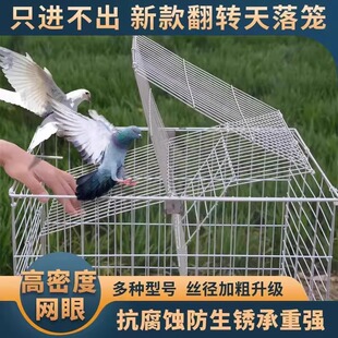 ����\���D���ӻ\��j�Tֻ�M�����B�m�����\���\�Ԅ��T��׽