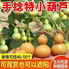 ������J�N�ְˌ����J�L����J�̨���@���J�NС���J��С����N��