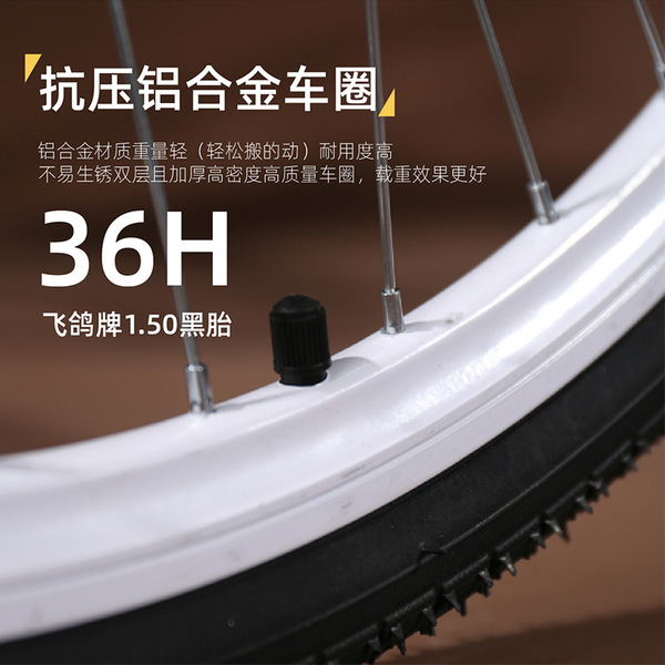 Bike for adults for men and women for students for elderly