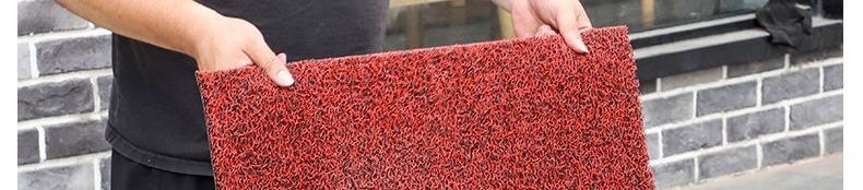 Entrance Door Mat, Silk Loop Anti-Slip Entry Mat, Bathroom Mat, Living Room Door Mat, Car Door Mat