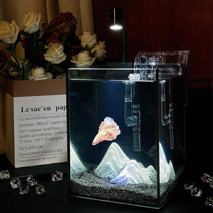 Small Fish Tank Internet Celebrity Betta Tank Desktop Landscaping Ultra-White Glass Complete Set of Filters and Others