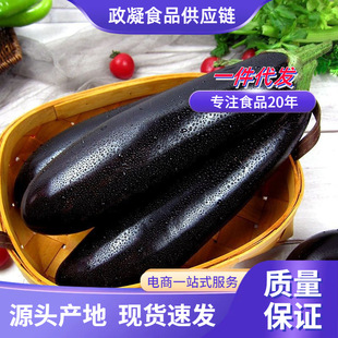 5����]�Fժ���r�L�����r���ԷN�L�������Ӻ��ەr����߲���