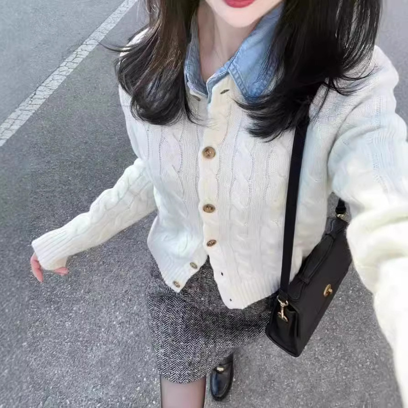 Vintage Round Neck Twist Knitted Cardigan Women's 2024 Autumn and Winter New Slim-fit Short Sweater Jacket for Small Men