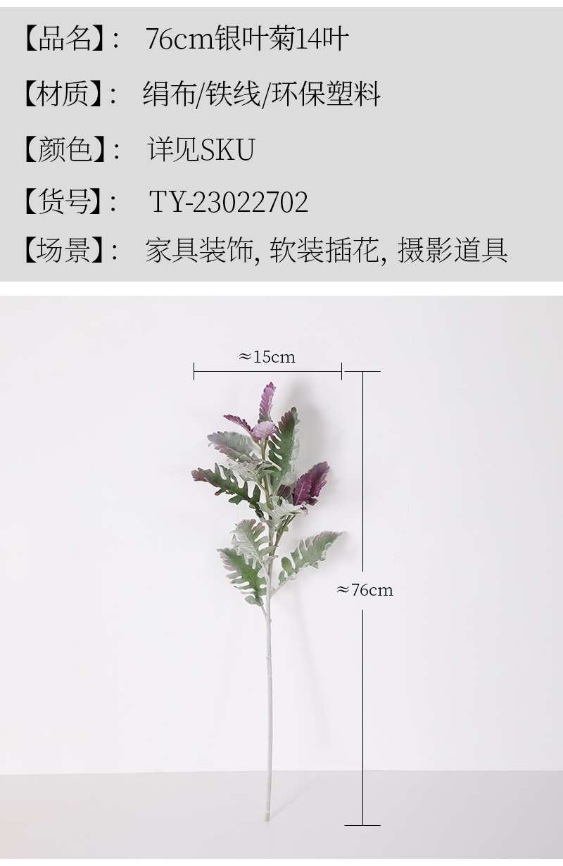 详情_02.jpg