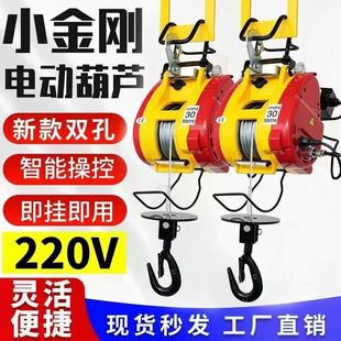 Small Electric Hoist 220V Mini Crane for Home Use, Small Lifting Remote Control Portable Wire Rope