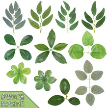 ������~�Ƶ�G������ֲ�����ֹ�DIY����辰�@���쾰�b�