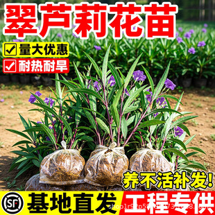 �ϻ����J����������ͺ����������B�G���ݻ��@ϲ��_����ֲ��