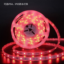 羳RGB߲R12vb5050ˮled{APP