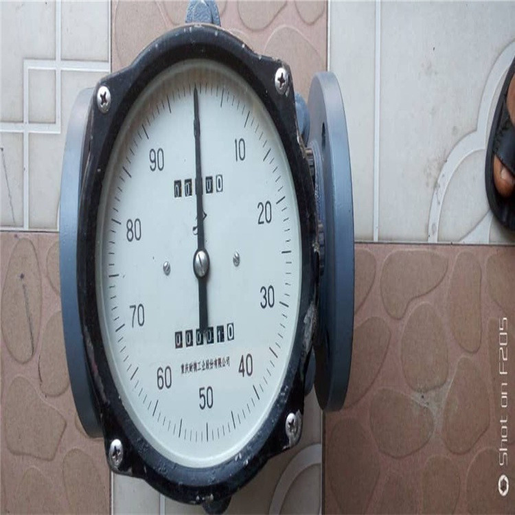 LL-25 LL-40I LL-50T LL-80CT LL-100CT LL-80CT/04F2耐德流量计