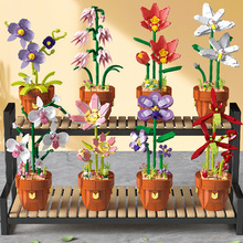 RdDIYСwԷeľõ廨տŮƴbģ