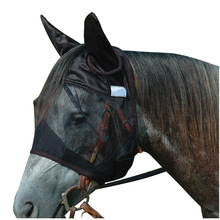 羳͸R horse mask WRRgƷ׶R
