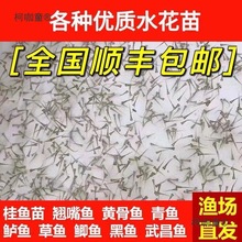 ˮ���~�����l�a�~�~���~���^�����������~���~����~�N���~��̫��