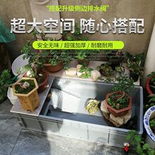 ���Ϟ����׎���̨�~����B���B�����Þ����e�������������������
