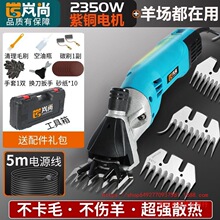 ����늄���ë�����ʼ���ë������Ӿd���ë�C�M������ë����